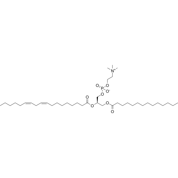 1-Myristoyl-2-Linoleoyl-sn-glycero-3-PC 92345-33-0